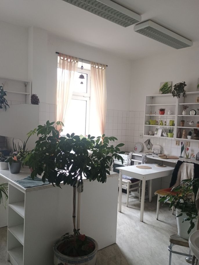 Pronájem, Obchod a služby, Děčín