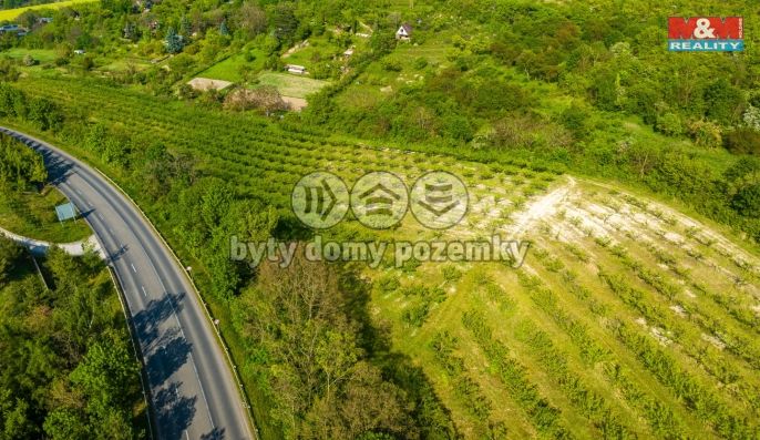 Prodej, Ovocný sad, Roudnice nad Labem
