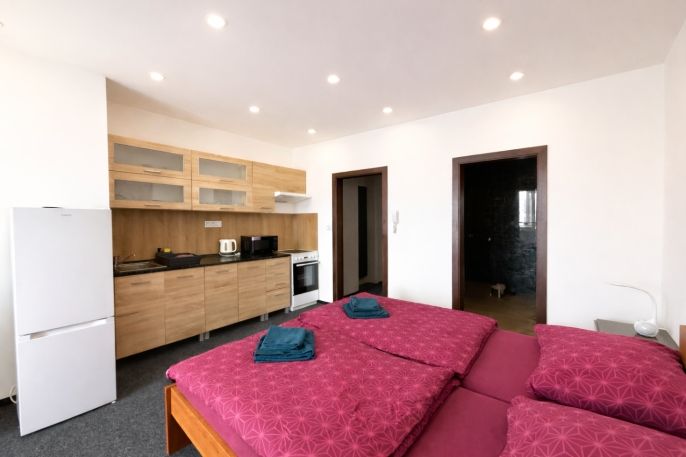 Pronájem, Byt 3+1, Světlá nad Sázavou