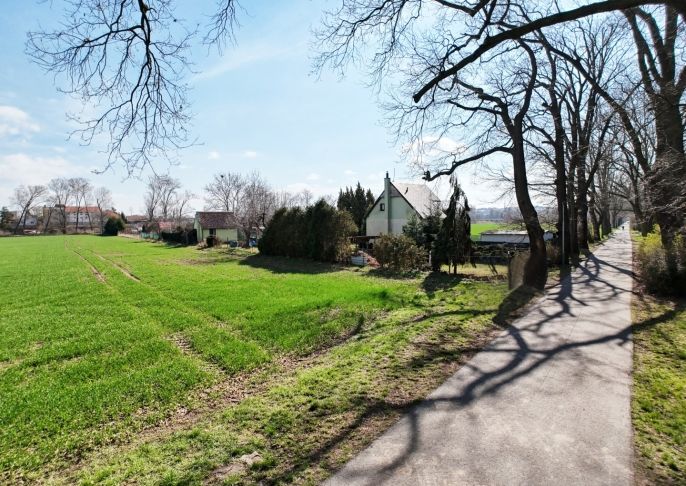 Prodej, Ostatní, Louny