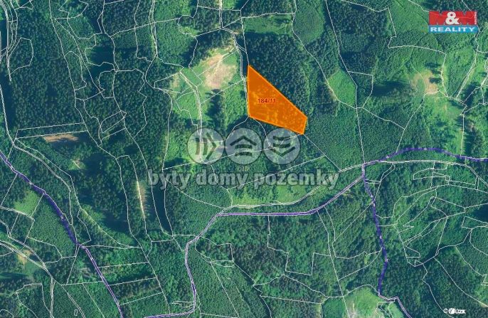 Prodej, Les, Lhota u Vsetína