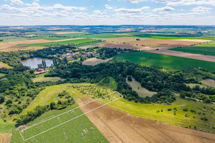 Prodej, Pole, Žabonosy