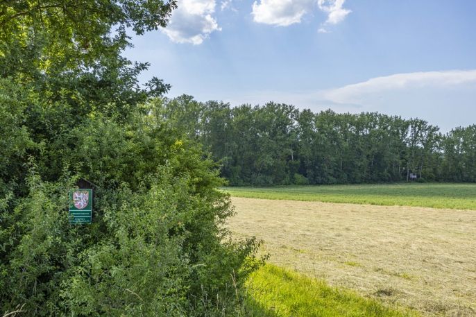 Prodej, Les, Bohuslavice