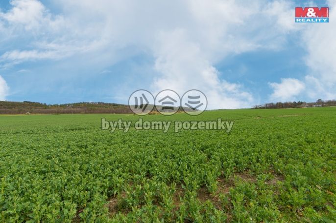 Prodej, Pole, Čižice