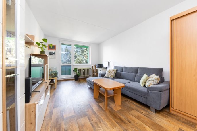 Prodej, Byt 3+1, Pohořelice