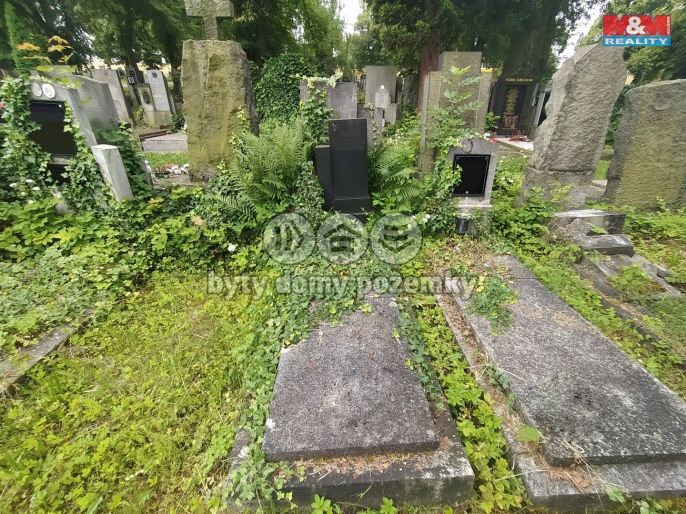 Prodej, Ostatní, Plzeň