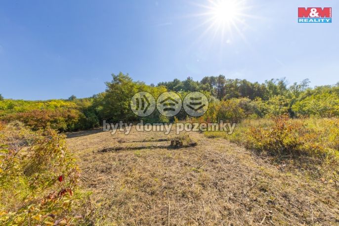 Prodej, Zahrada, Židlochovice