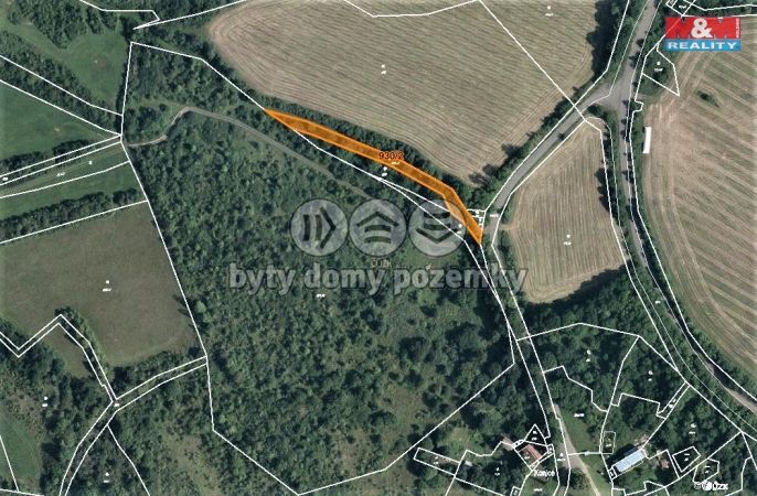 Prodej, Les, Mašťov