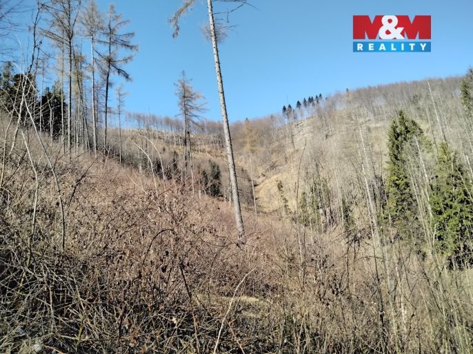 Prodej, Ostatní, Pstruží