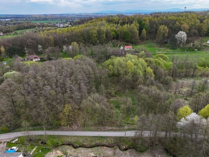 Prodej, Pole, Dětmarovice