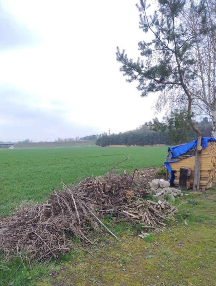 Prodej, Zahrada, Opava