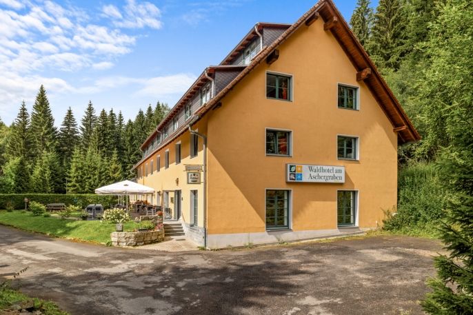 Prodej, Hotel, penzion, Geising