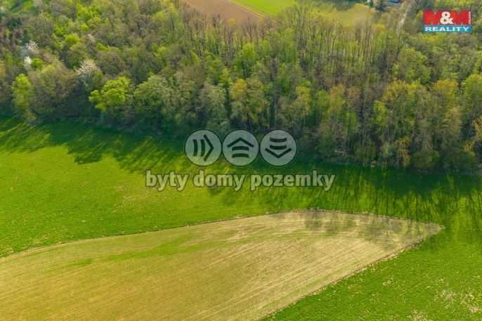 Prodej, Pole, Bílá Lhota