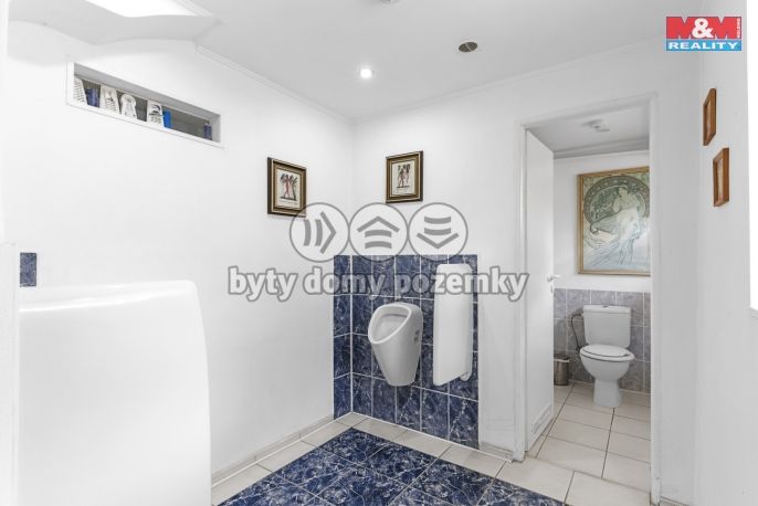 Prodej, Obchodní objekt, Žandov