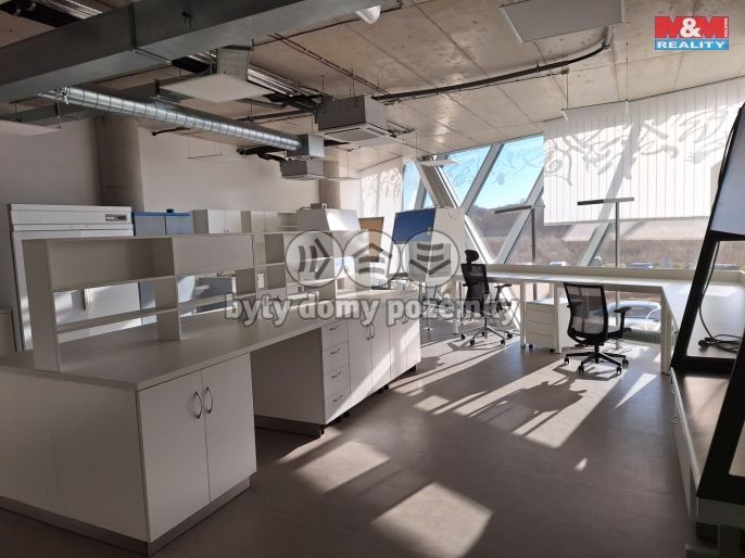 Pronájem, Ostatní, Zlatníky-Hodkovice