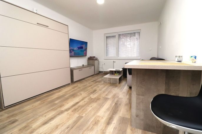 Pronájem, Byt 1+kk, Ostrov