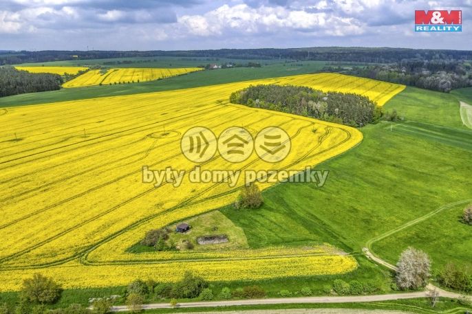 Prodej, Pole, Ostrov u Bezdružic
