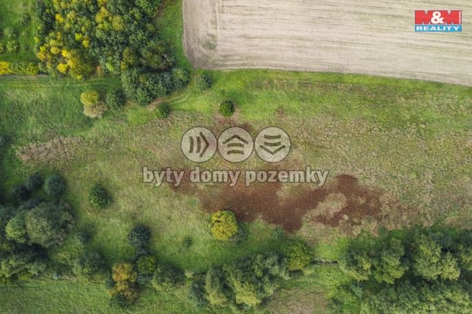 Prodej, Louka, Františkovy Lázně