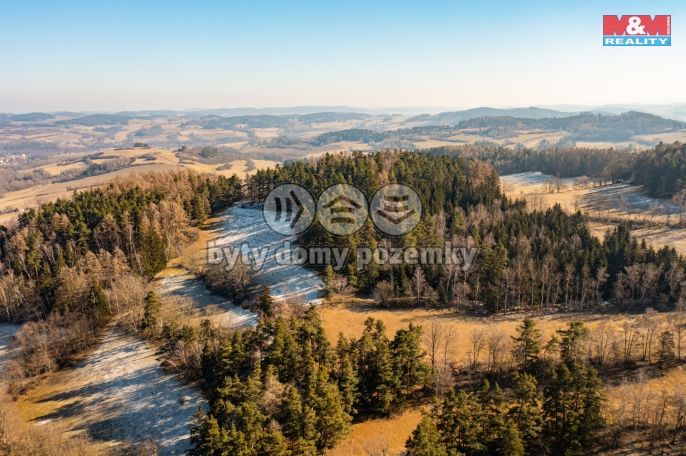 Prodej, Les, Nišovice