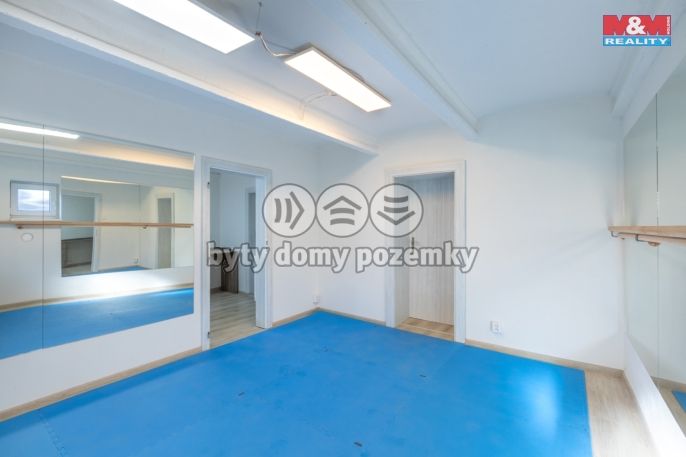 Pronájem, Obchod a služby, Louny