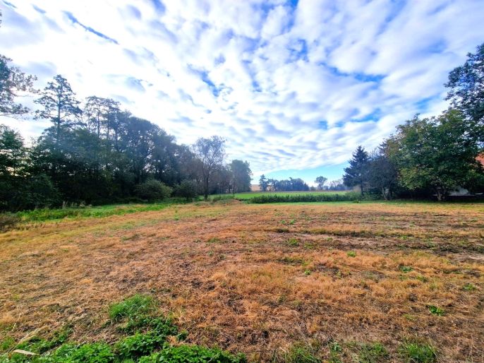 Prodej, Rodinný dům, Opava