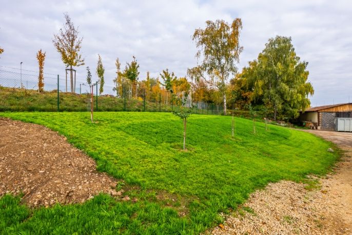 Prodej, Sklad, Rosice