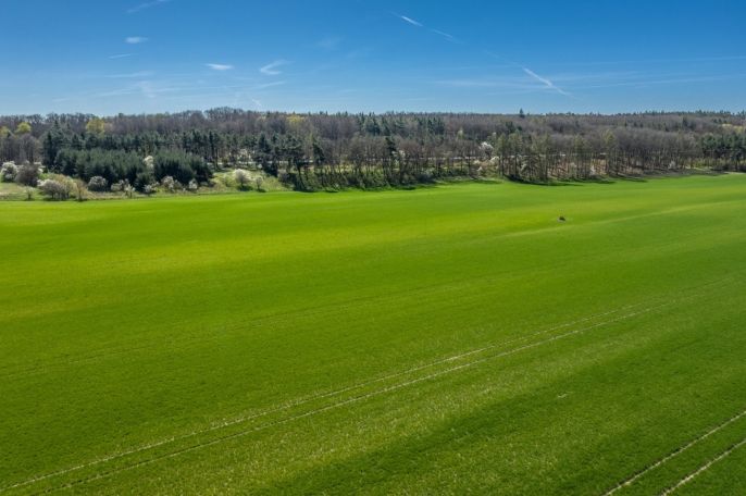 Prodej, Pole, Benátky nad Jizerou
