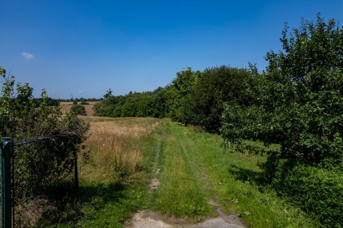 Prodej, Pole, Hlučín