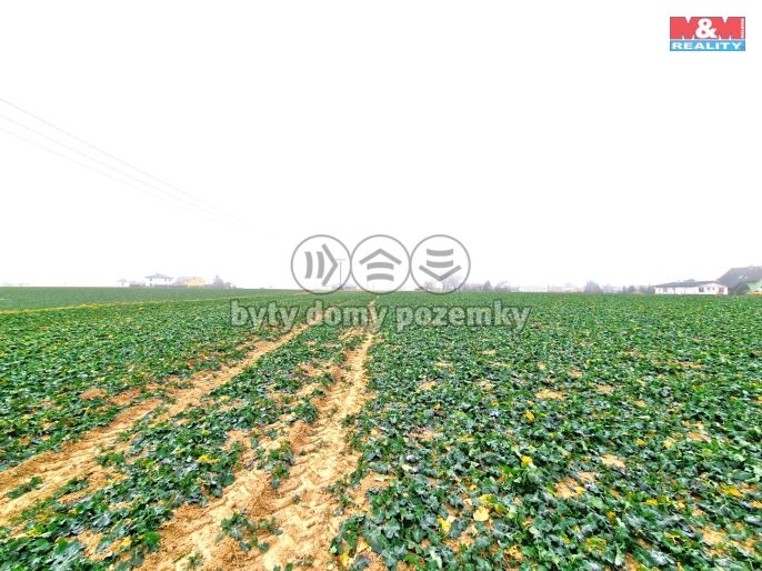 Prodej, Pozemek k bydlení, Štěpánkovice