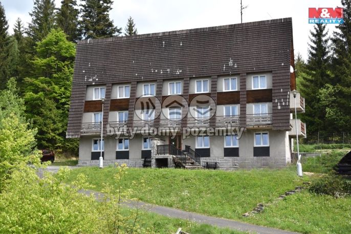 Prodej, Hotel, penzion, Bílá