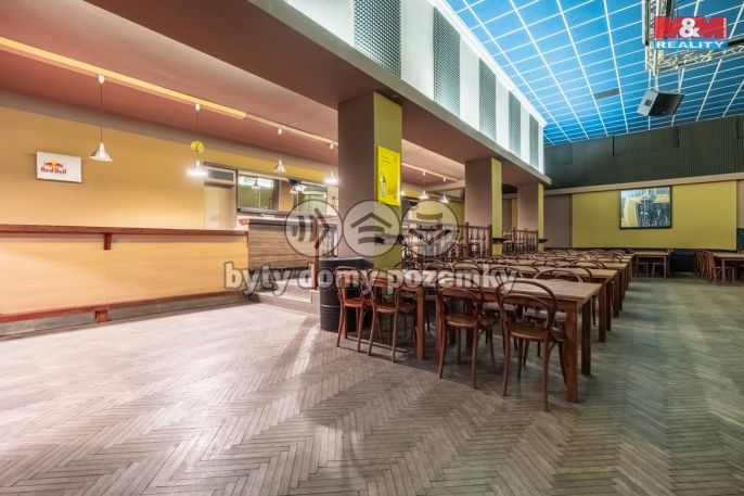 Prodej, Obchodní objekt, Český Brod