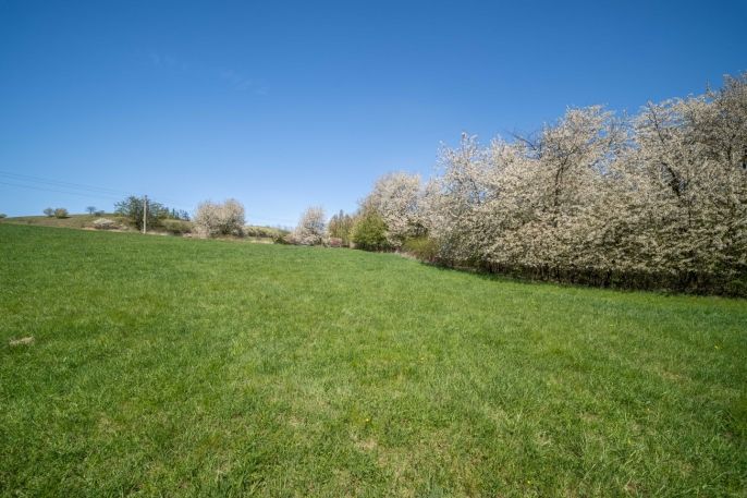 Prodej, Pozemek k bydlení, Břasy