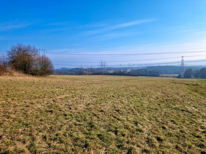 Prodej, Louka, Kozly