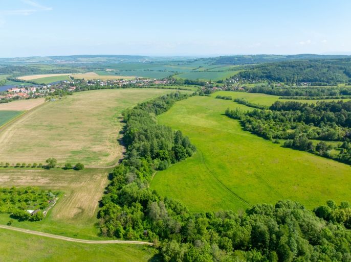 Prodej, Louka, Roštín