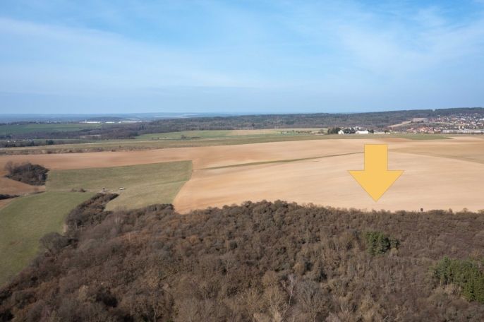 Prodej, Pole, Starý Plzenec