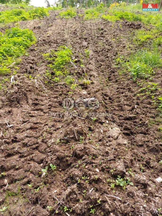 Prodej, Les, Hrazany