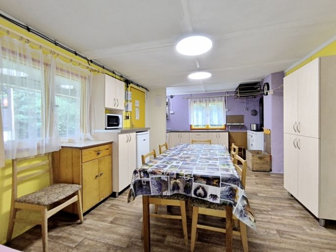 Prodej, Hotel, penzion, Pojbuky
