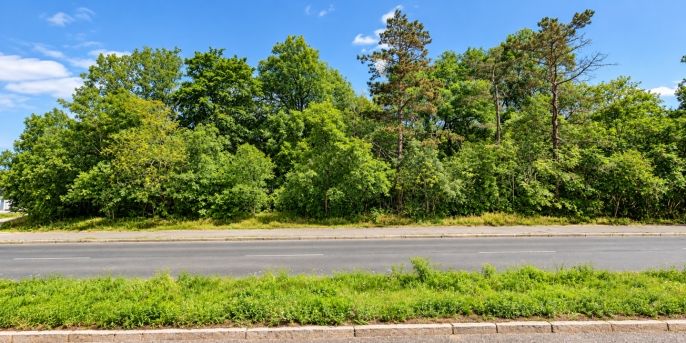 Prodej, Zahrada, Praha