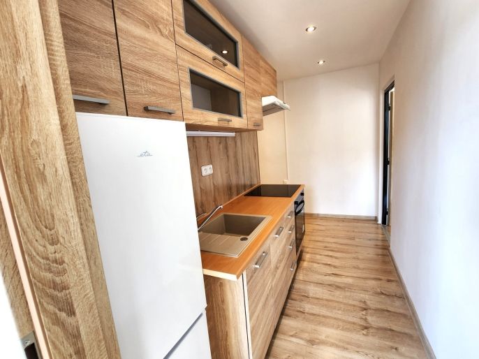 Prodej, Byt 1+1, Louny