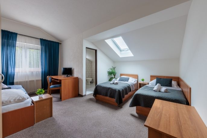 Prodej, Hotel, penzion, Chodov