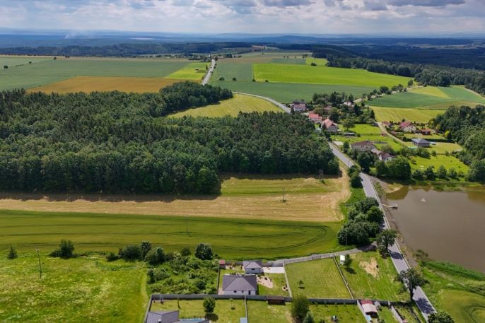 Prodej, Pozemek k bydlení, Dražeň