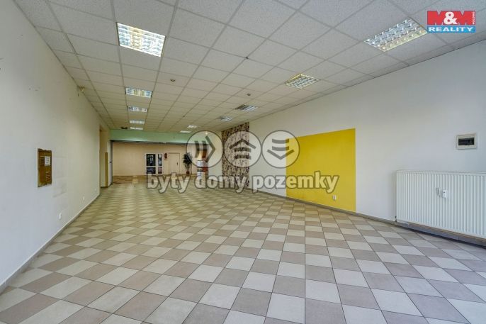 Pronájem, Obchod a služby, Třemošná