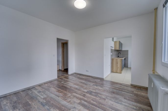 Pronájem, Byt 4+1, Lesná