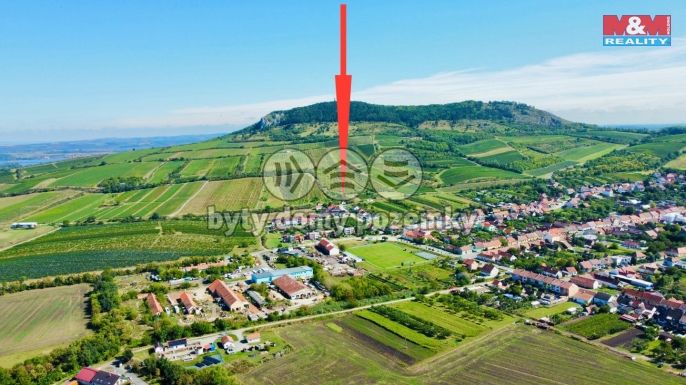 Prodej, Vinný sklep, Perná