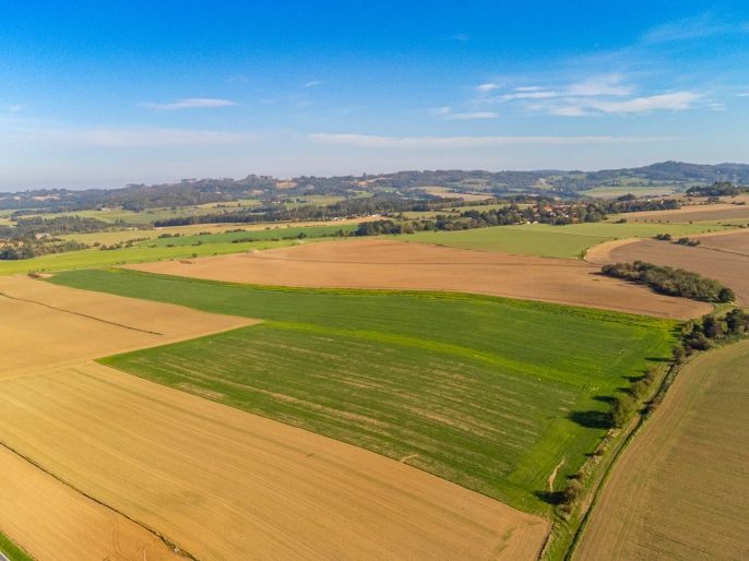 Prodej, Pole, Bystřice