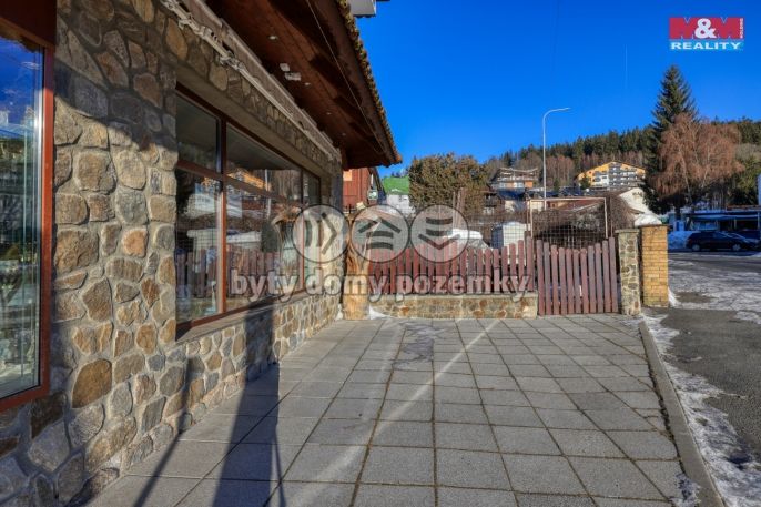 Pronájem, Obchod a služby, Železná Ruda