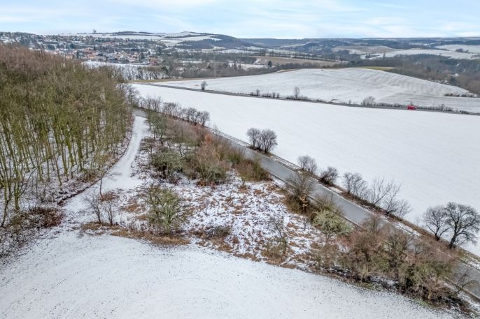 Prodej, Zahrada, Pchery