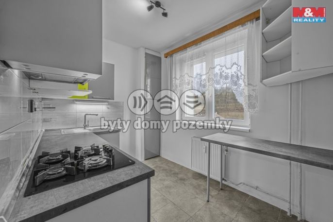 Prodej, Byt 2+1, Hostinné