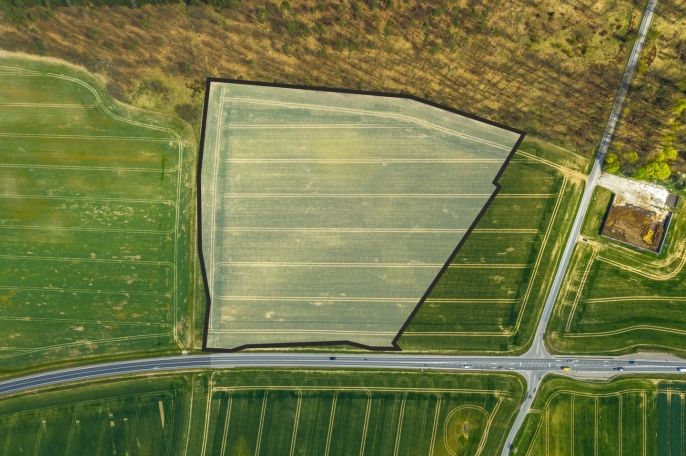 Prodej, Pole, Čistá