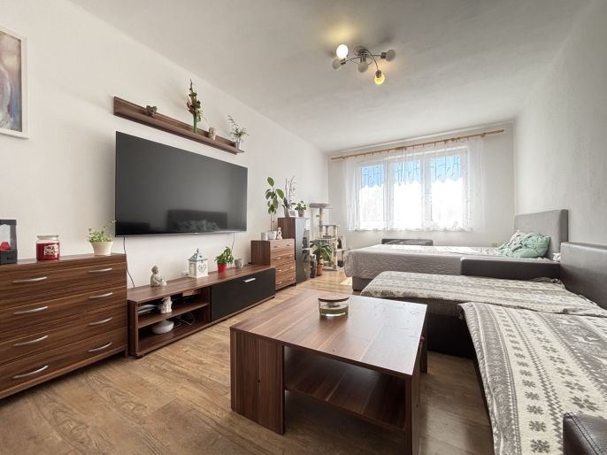 Prodej, Byt 2+1, Pacov